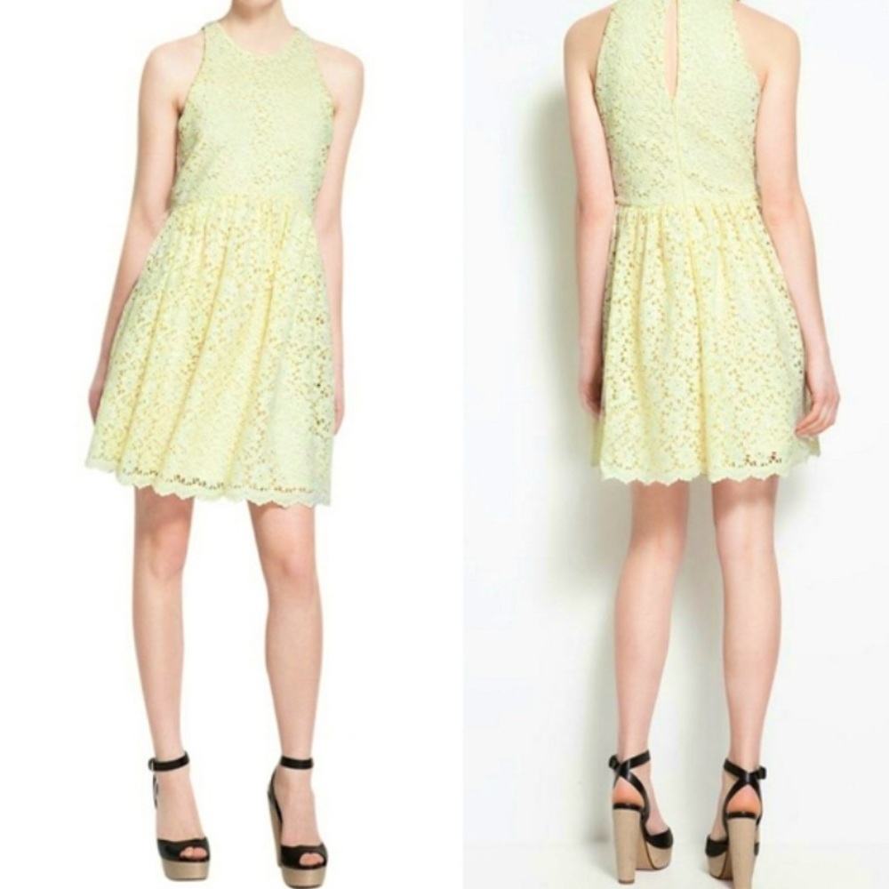 ZARA • Guipure Lace Dress
